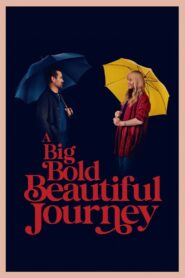 A Big Bold Beautiful Journey (2025)