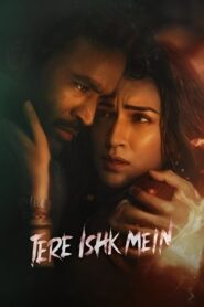 Tere Ishk Mein (2025) Hindi HDTC